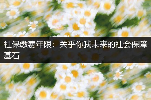 社保缴费年限：关乎你我未来的社会保障基石