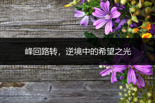 峰回路转，逆境中的希望之光