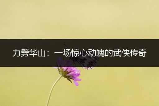 力劈华山：一场惊心动魄的武侠传奇