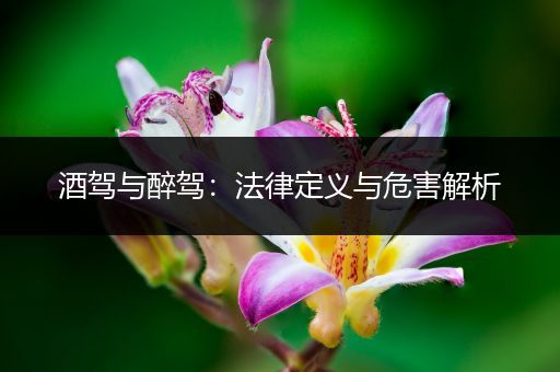 酒驾与醉驾：法律定义与危害解析