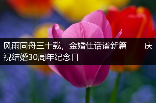 风雨同舟三十载，金婚佳话谱新篇——庆祝结婚30周年纪念日