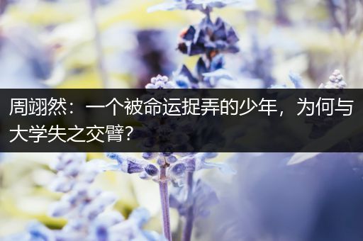 周翊然：一个被命运捉弄的少年，为何与大学失之交臂？