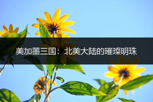 美加墨三国：北美大陆的璀璨明珠