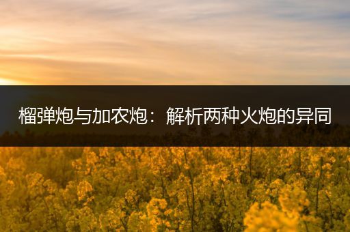 榴弹炮与加农炮：解析两种火炮的异同