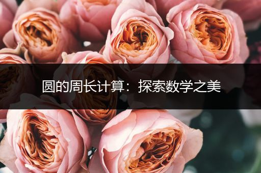 圆的周长计算：探索数学之美