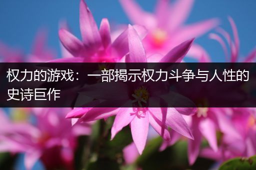 权力的游戏：一部揭示权力斗争与人性的史诗巨作