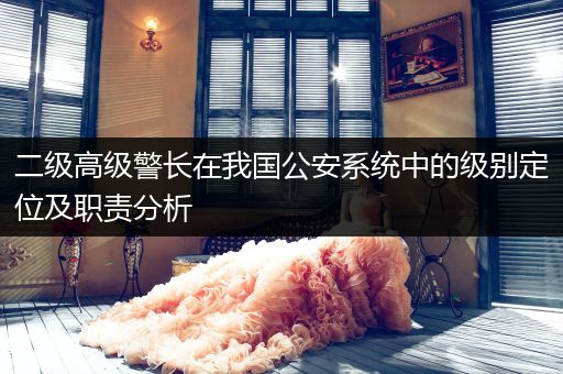 二级高级警长在我国公安系统中的级别定位及职责分析