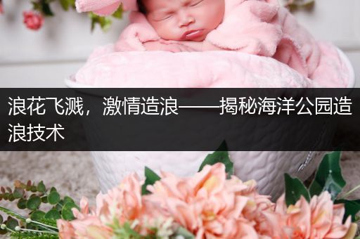 浪花飞溅，激情造浪——揭秘海洋公园造浪技术