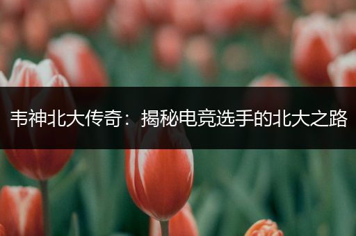 韦神北大传奇：揭秘电竞选手的北大之路