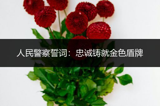 人民警察誓词：忠诚铸就金色盾牌