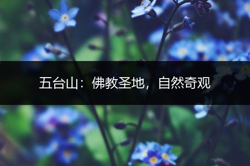五台山：佛教圣地，自然奇观