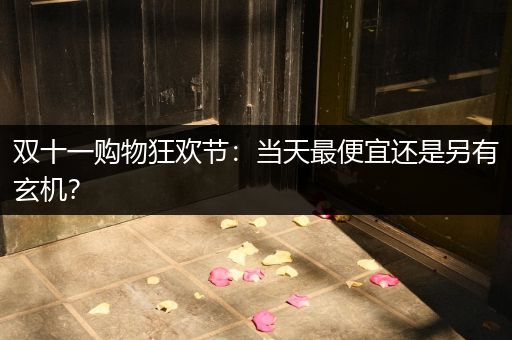 双十一购物狂欢节：当天最便宜还是另有玄机？