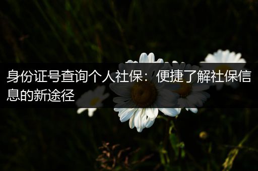 身份证号查询个人社保：便捷了解社保信息的新途径