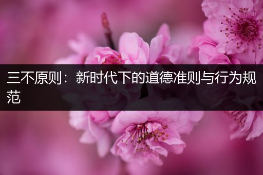 三不原则：新时代下的道德准则与行为规范