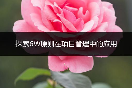 探索6W原则在项目管理中的应用