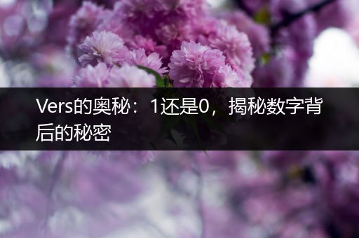 Vers的奥秘：1还是0，揭秘数字背后的秘密