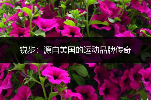 锐步：源自美国的运动品牌传奇