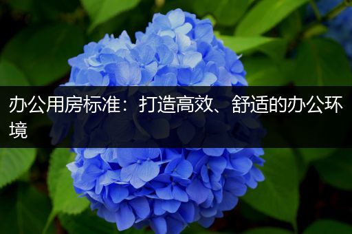 办公用房标准：打造高效、舒适的办公环境