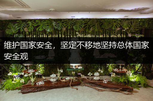 维护国家安全，坚定不移地坚持总体国家安全观