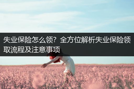 失业保险怎么领？全方位解析失业保险领取流程及注意事项