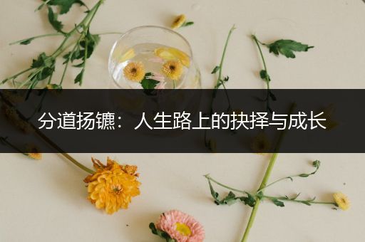 分道扬镳：人生路上的抉择与成长