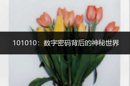 101010：数字密码背后的神秘世界