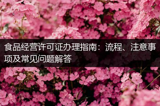 食品经营许可证办理指南：流程、注意事项及常见问题解答