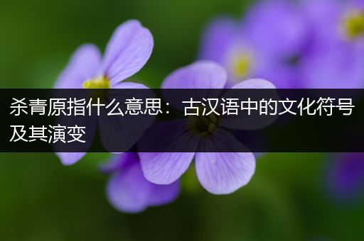 杀青原指什么意思：古汉语中的文化符号及其演变