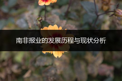 南非报业的发展历程与现状分析
