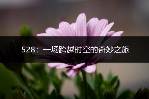 528：一场跨越时空的奇妙之旅