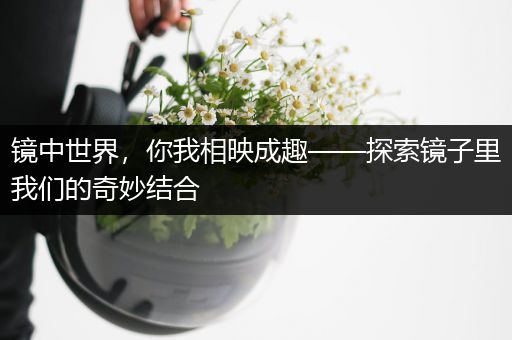 镜中世界，你我相映成趣——探索镜子里我们的奇妙结合
