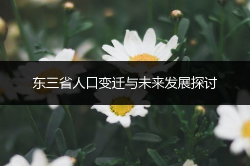 东三省人口变迁与未来发展探讨