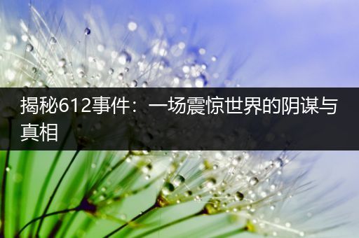 揭秘612事件：一场震惊世界的阴谋与真相