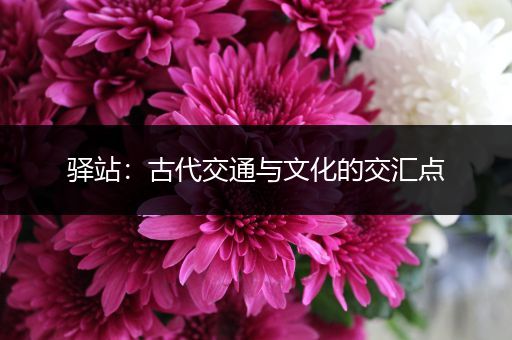 驿站：古代交通与文化的交汇点