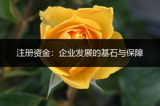 注册资金：企业发展的基石与保障