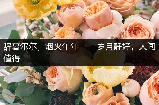 辞暮尔尔，烟火年年——岁月静好，人间值得