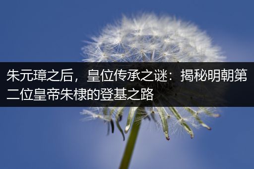 朱元璋之后，皇位传承之谜：揭秘明朝第二位皇帝朱棣的登基之路