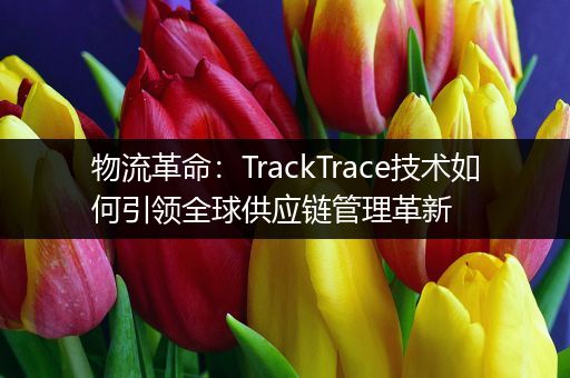物流革命：TrackTrace技术如何引领全球供应链管理革新