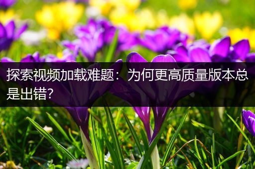 探索视频加载难题：为何更高质量版本总是出错？