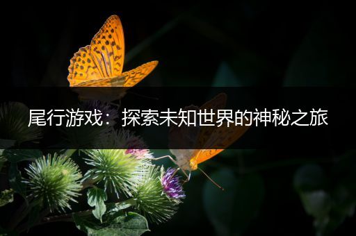 尾行游戏：探索未知世界的神秘之旅