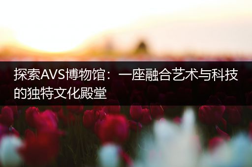 探索AVS博物馆：一座融合艺术与科技的独特文化殿堂