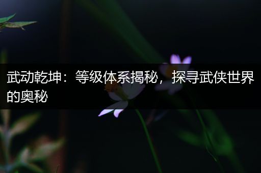 武动乾坤：等级体系揭秘，探寻武侠世界的奥秘