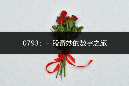 0793：一段奇妙的数字之旅