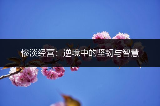 惨淡经营：逆境中的坚韧与智慧