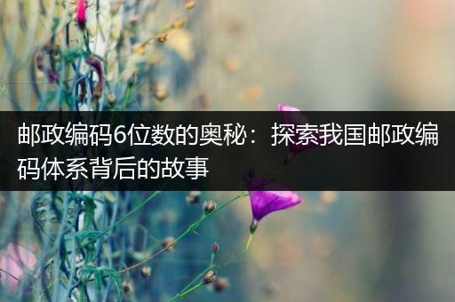 邮政编码6位数的奥秘：探索我国邮政编码体系背后的故事