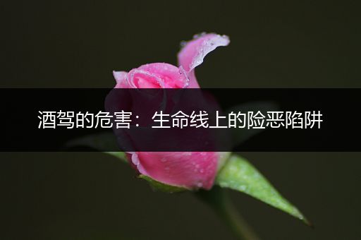 酒驾的危害：生命线上的险恶陷阱