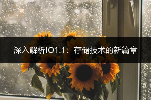 深入解析IO1.1：存储技术的新篇章