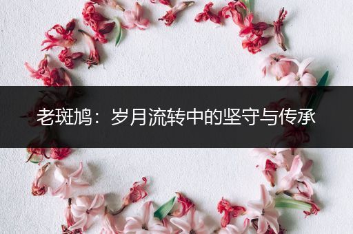 老斑鸠：岁月流转中的坚守与传承