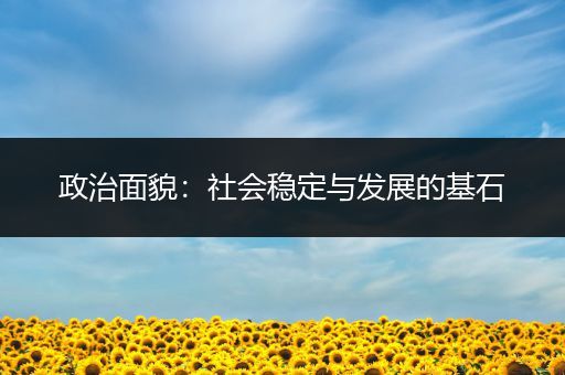 政治面貌：社会稳定与发展的基石