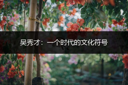 吴秀才：一个时代的文化符号